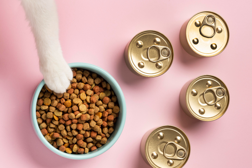 Tendências do pet food: o que está em destaque na alimentação animal?