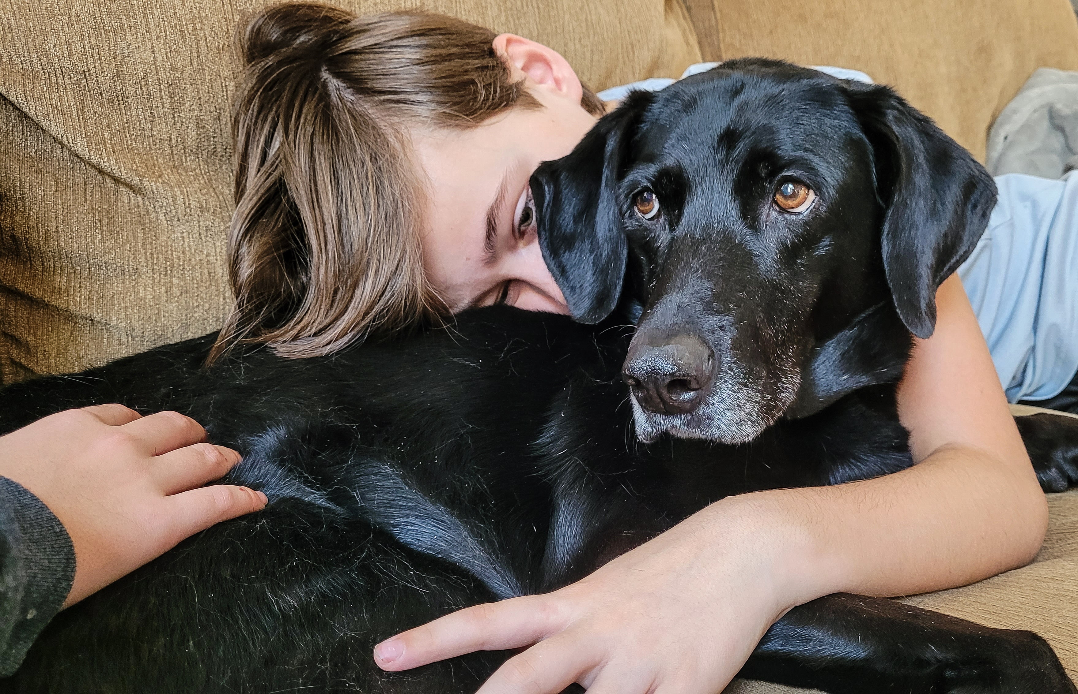 People and pets as generation z boy on a couch hugging his cute pet a Labrador retriever.