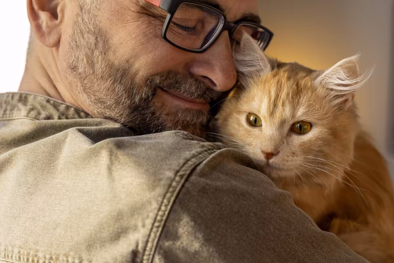 Gatos miam mais quando homens chegam em casa, aponta estudo