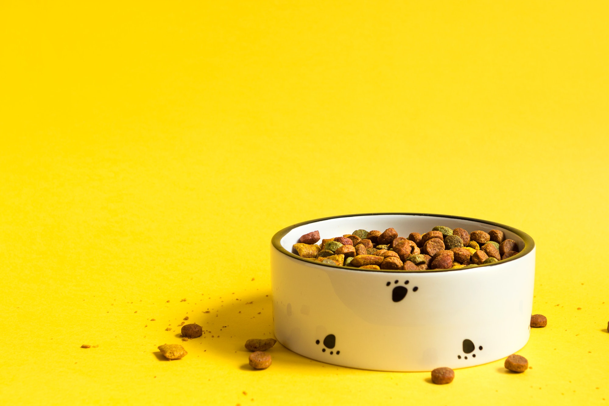 Pet food bowl with dry granulated food on a yellow background.