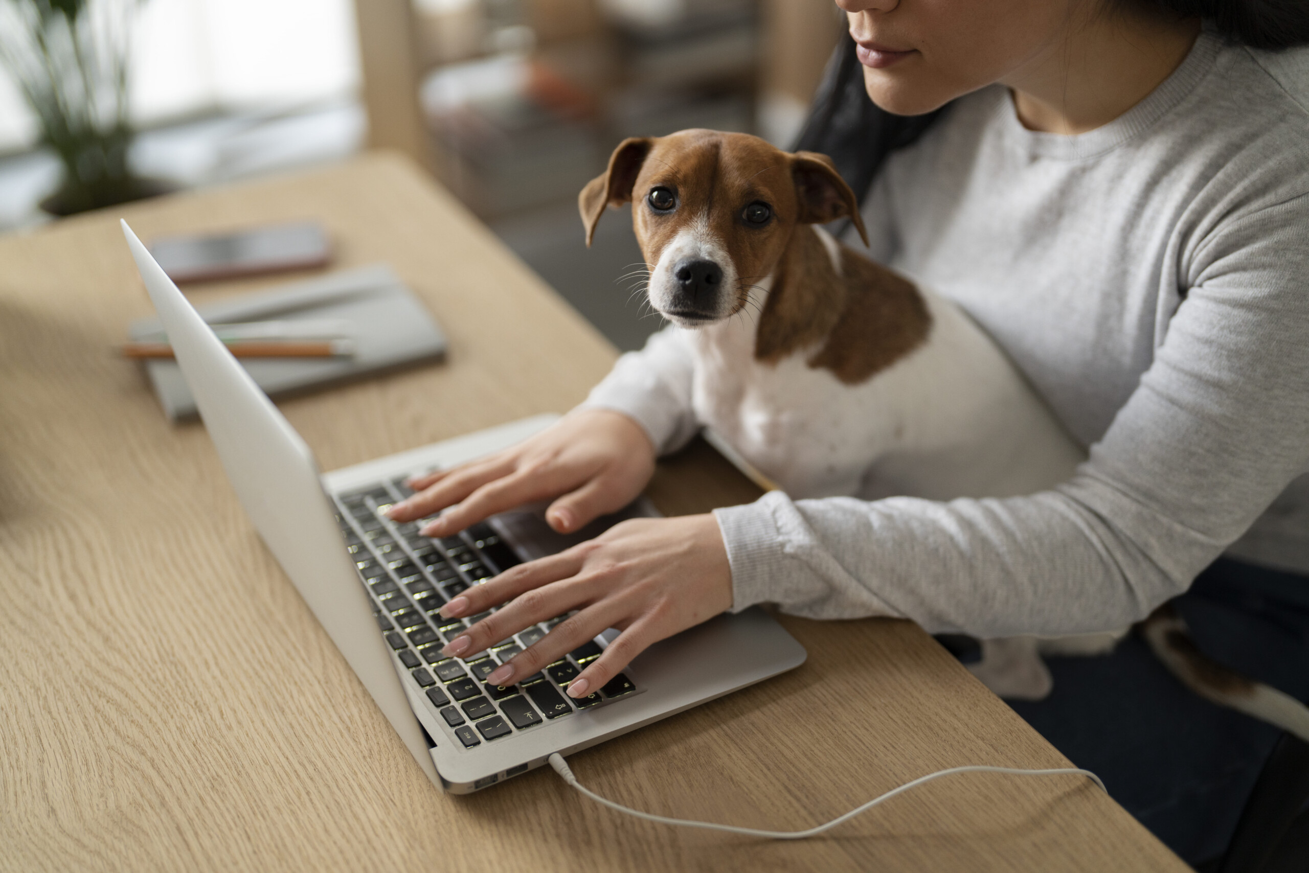 Quando a influência digital passa a disputar decisões sobre a saúde do pet
