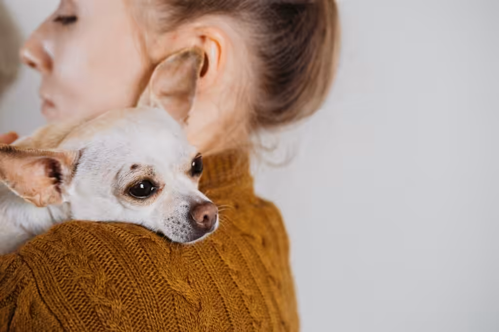 Pet love, homeless dog adoption, caring for a pet and animal concept. Pet Lovers, Animal Lovers