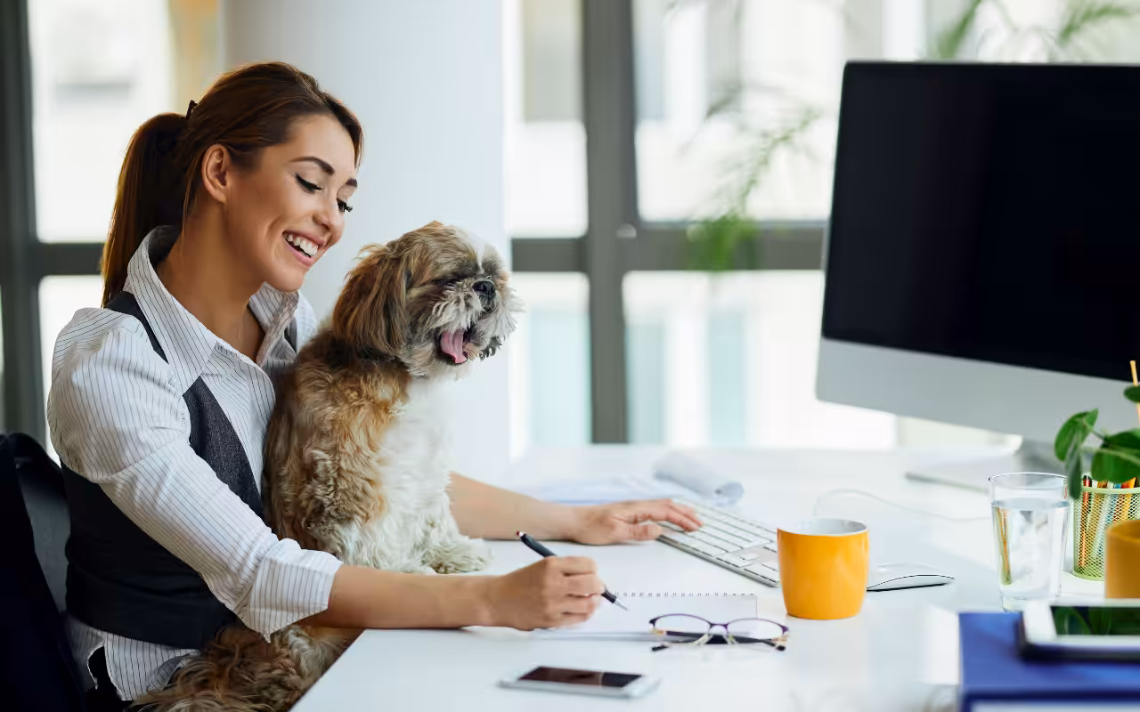 Com o fim do home office, como ajudar seu pet a lidar com a volta ao trabalho presencial e evitar a ansiedade de separação