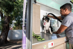 pet techs