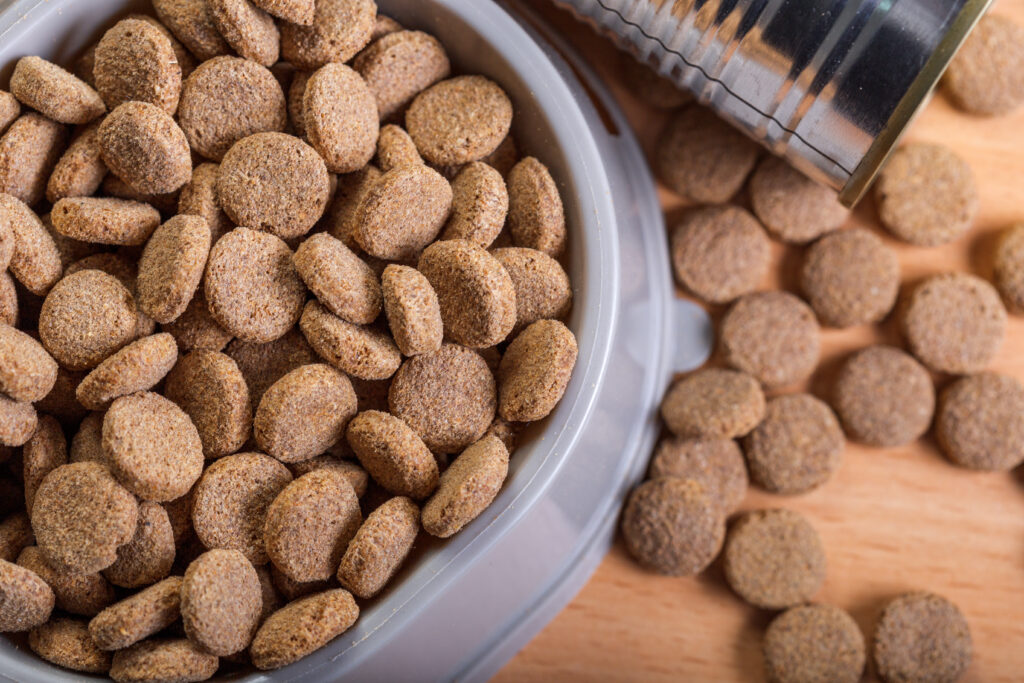 pets food on wooden floor