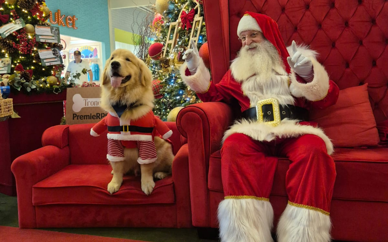 Pets têm momento único com Papai Noel em Guarulhos