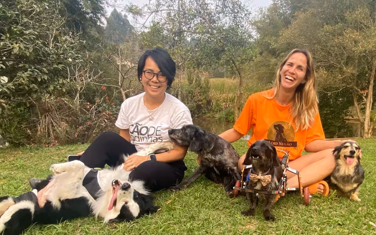 Instituto Cão de Rodinhas é a primeira ONG no Brasil voltada a animais com deficiência