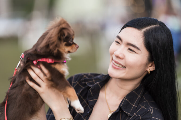 Crescimento da cultura pet na Coreia do Norte escancara desigualdade social