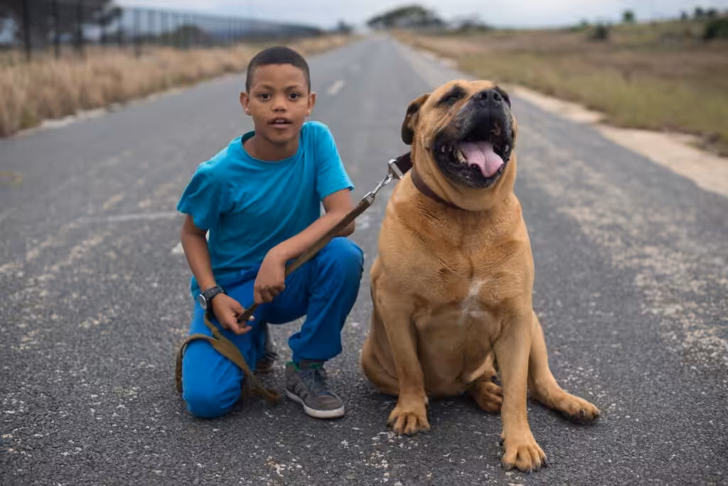 Portrait of young boy with his boerboel dog