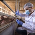 CRMV-SP lança pesquisa inédita sobre saúde mental de zootecnistas no Brasil