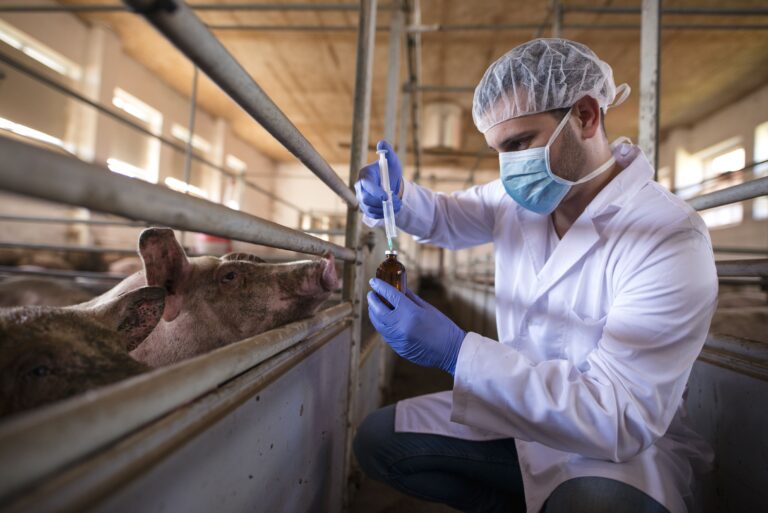 CRMV-SP lança pesquisa inédita sobre saúde mental de zootecnistas no Brasil