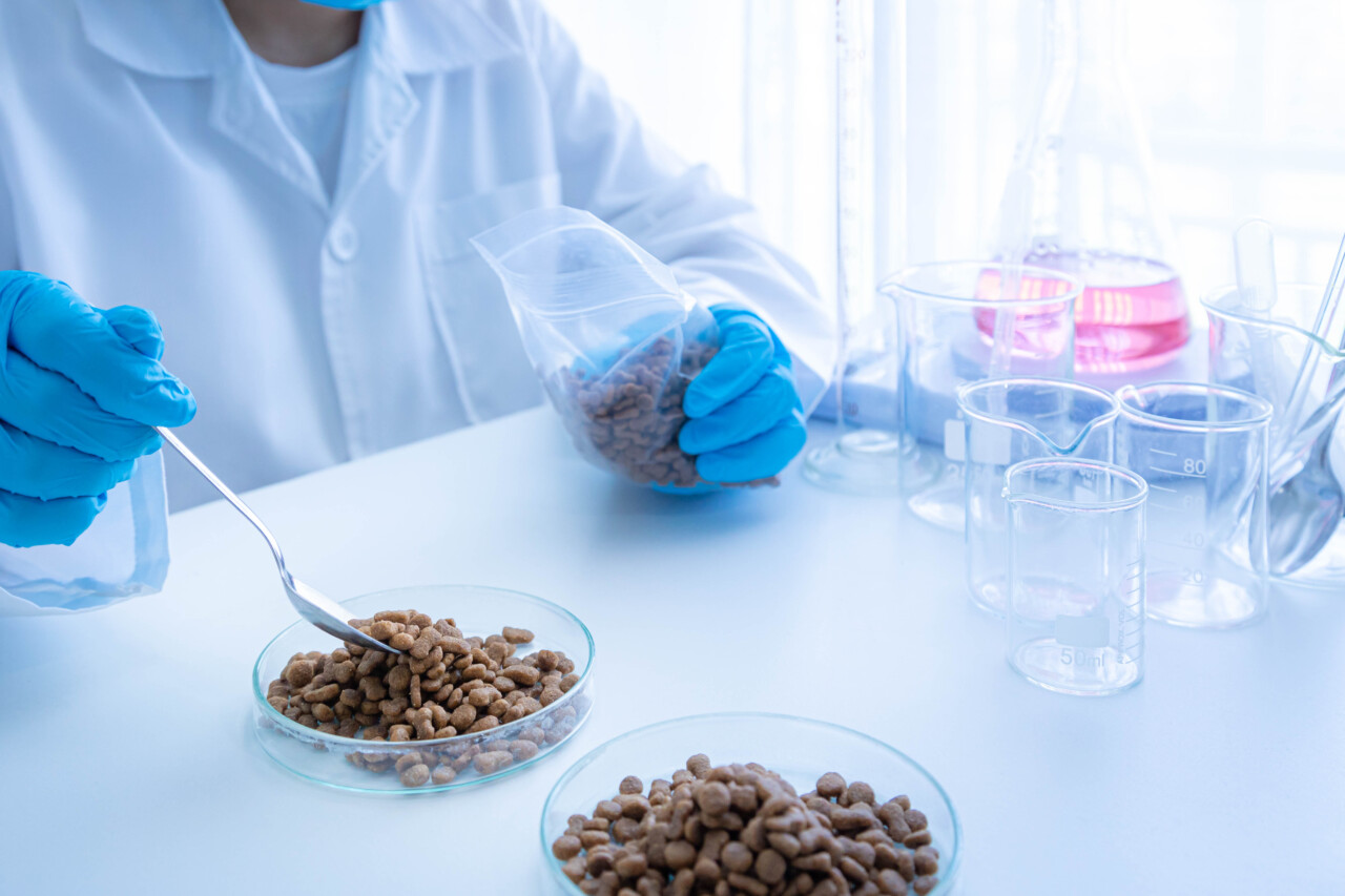 Segurança de alimentos pet: 10 pontos críticos para fortalecer o sistema nas fábricas