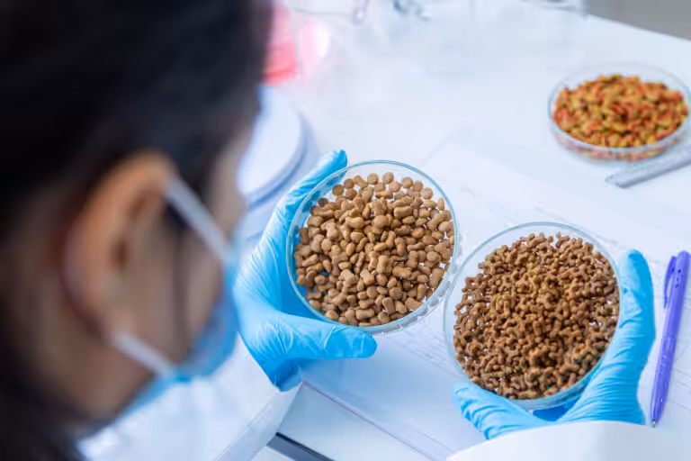 Perigo invisível aos olhos: micotoxinas no pet food