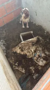 resgate em Portugal