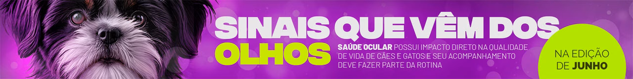 revista