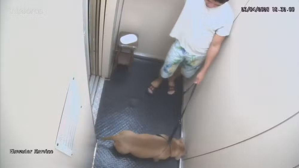 Polícia aponta que responsável matou cachorro afogado em Copacabana (RJ)