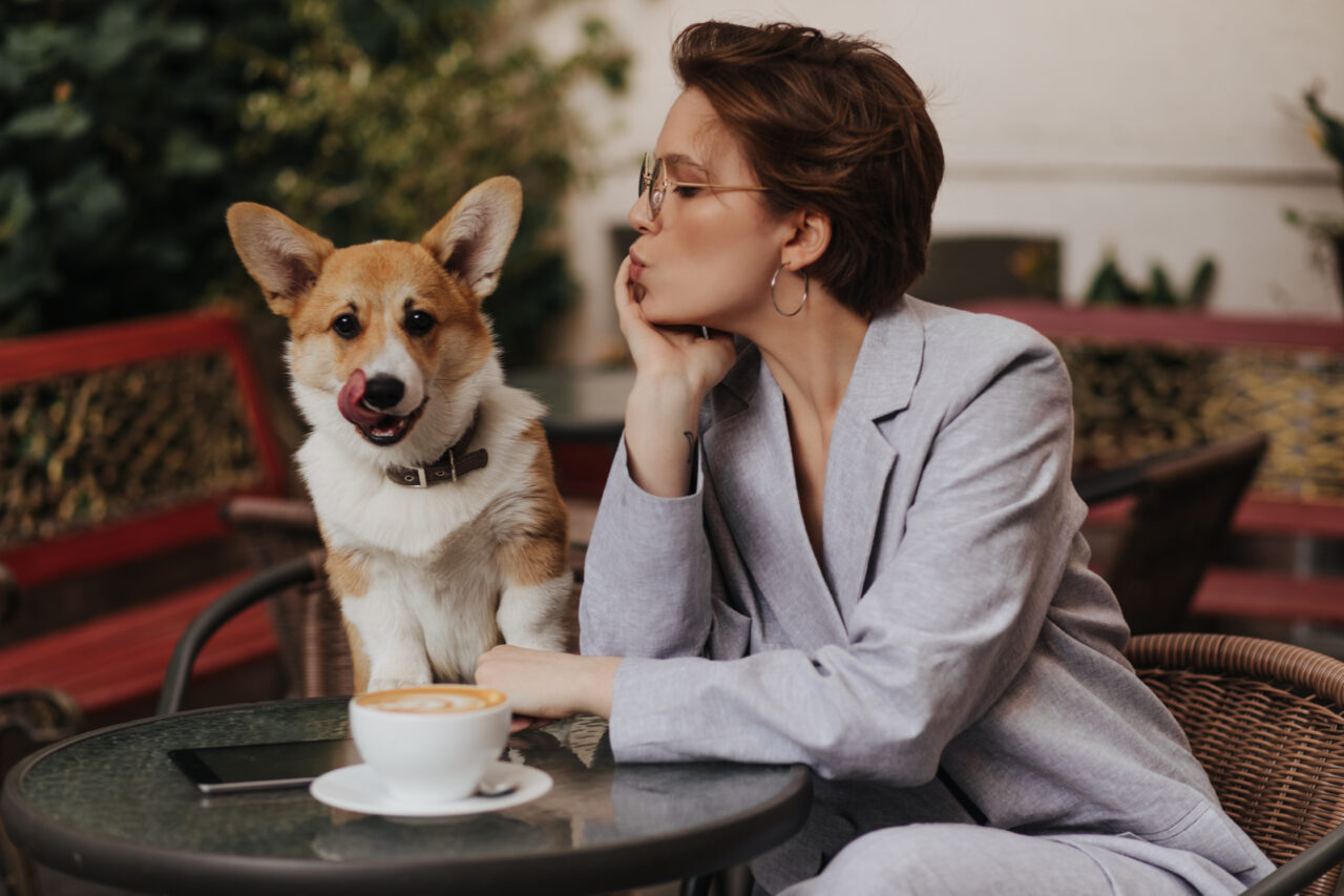 Babá de cachorro pode ganhar até R$ 1,5 milhão por ano nos EUA