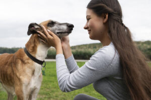 cães e responsáveis