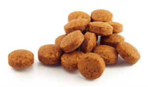 nutrição animal