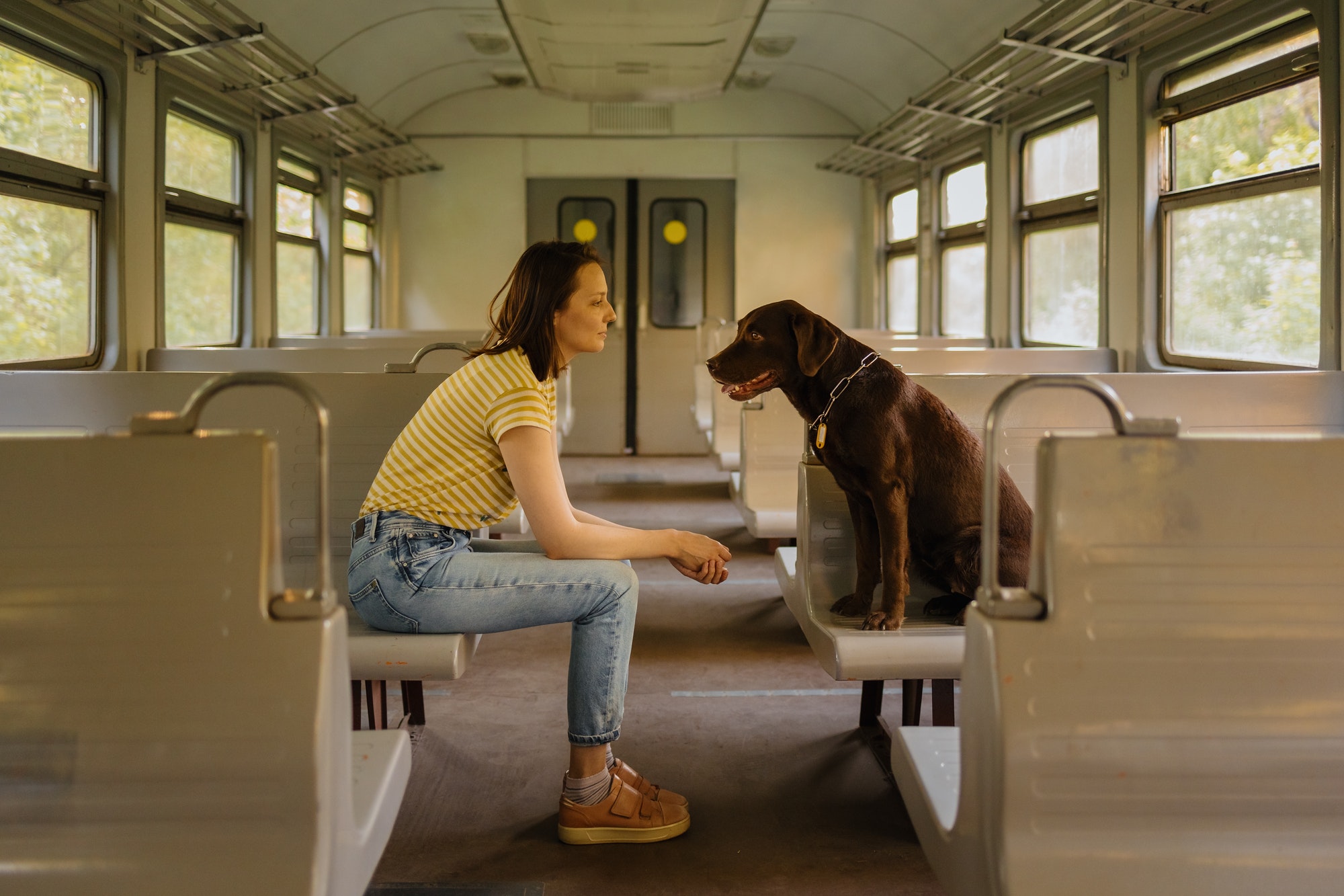 smart service dog and human, companion dog and human friend, woman on train sits opposite dog