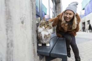eliminar animais de rua 