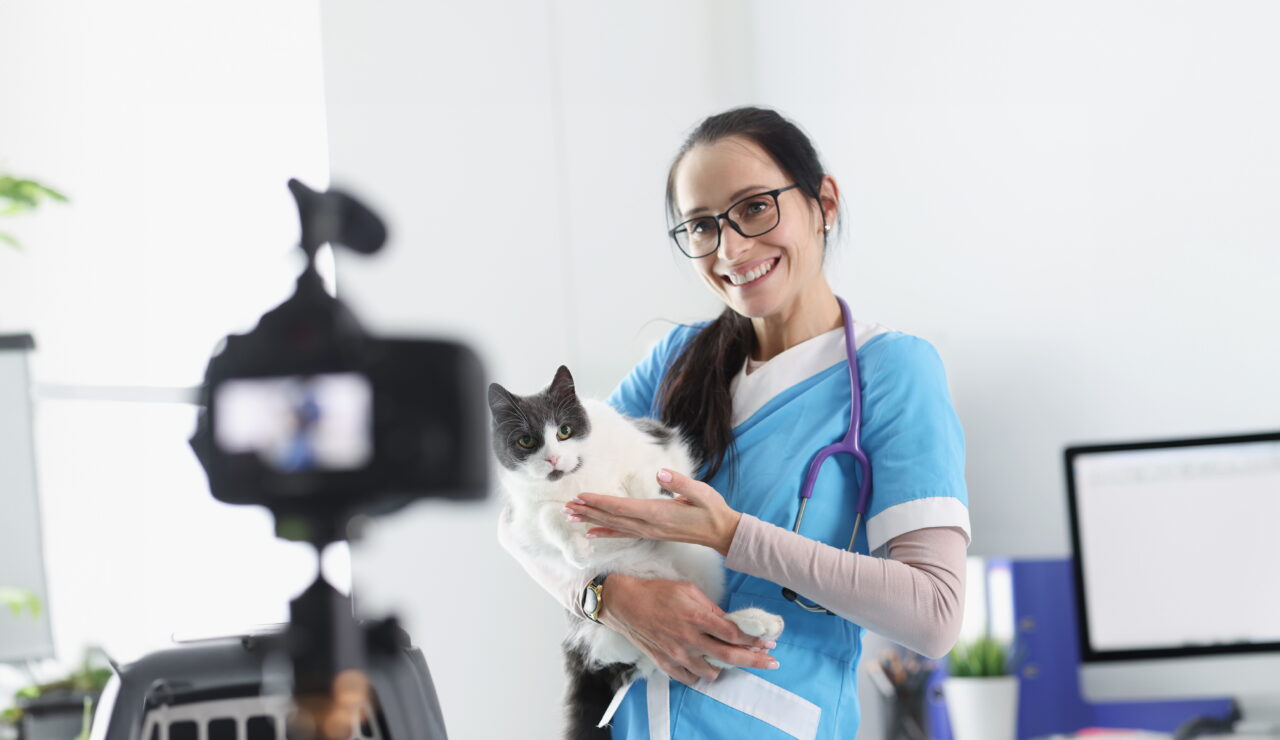 Comunicação profissional na Medicina Veterinária exige atenção às normas éticas