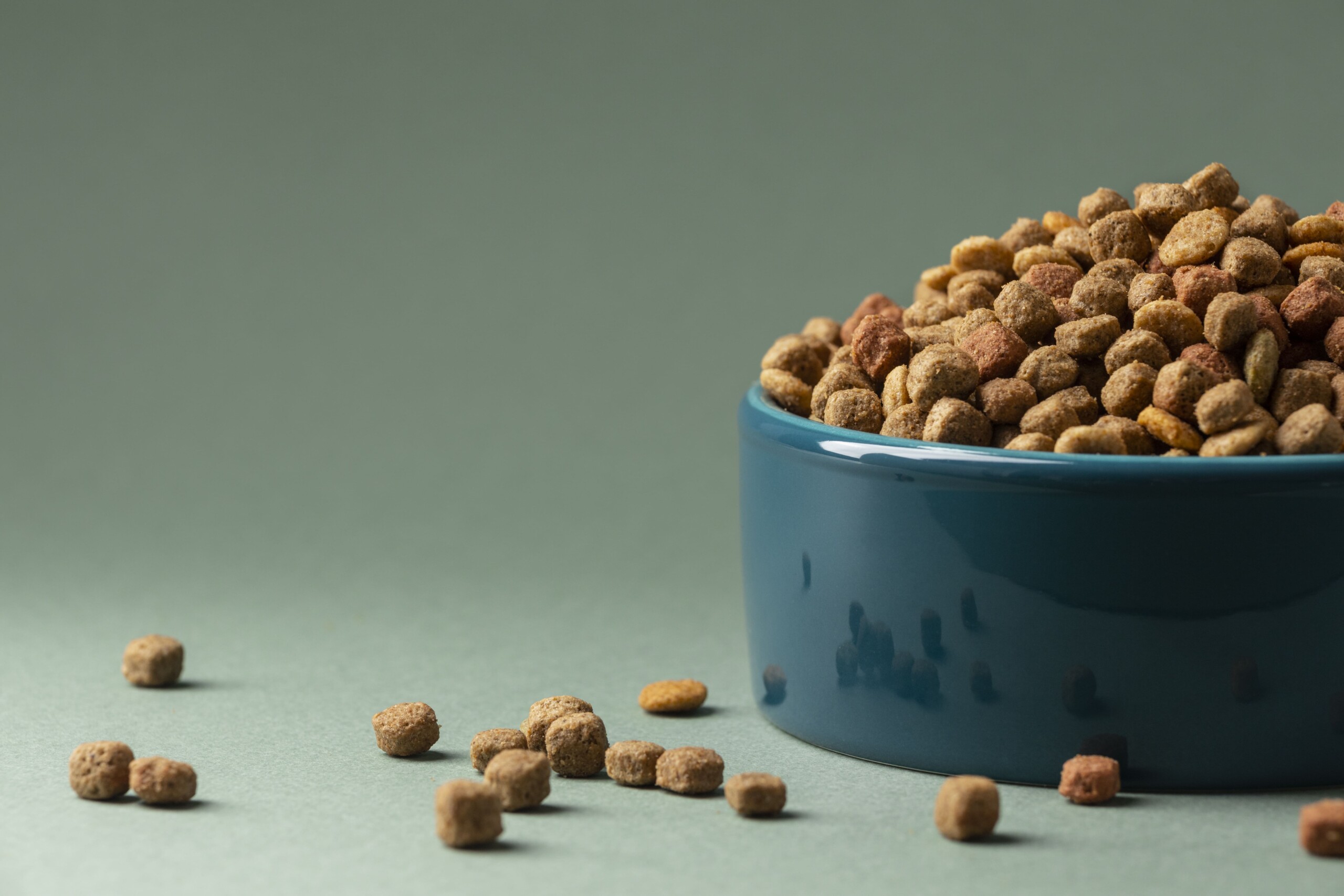 Brasil amplia presença internacional com habilitação de 40 plantas de pet food para a Costa Rica