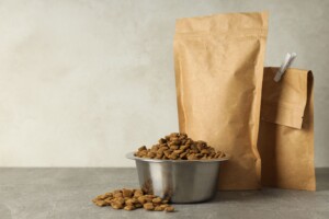 Salmonella em pet food: como ocorre a contaminação e quais cuidados ajudam a prevenir riscos