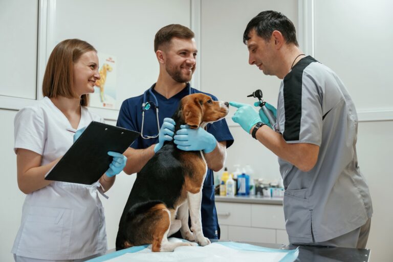 Estratégias práticas para organizar processos ajudam a fortalecer a equipe