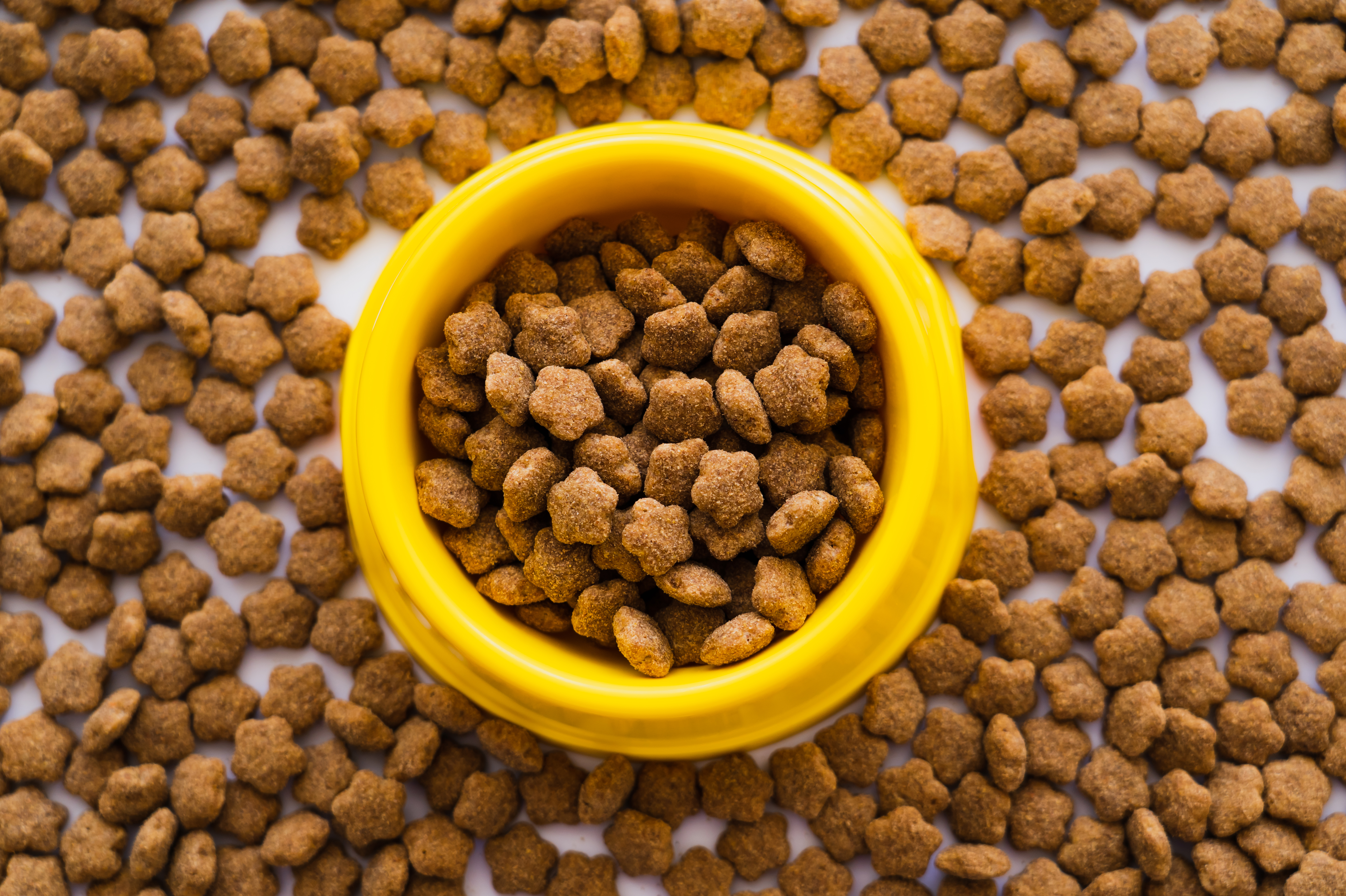 top view of dry pet food in plastic yellow bowl