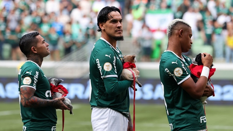 palmeiras e cachorros