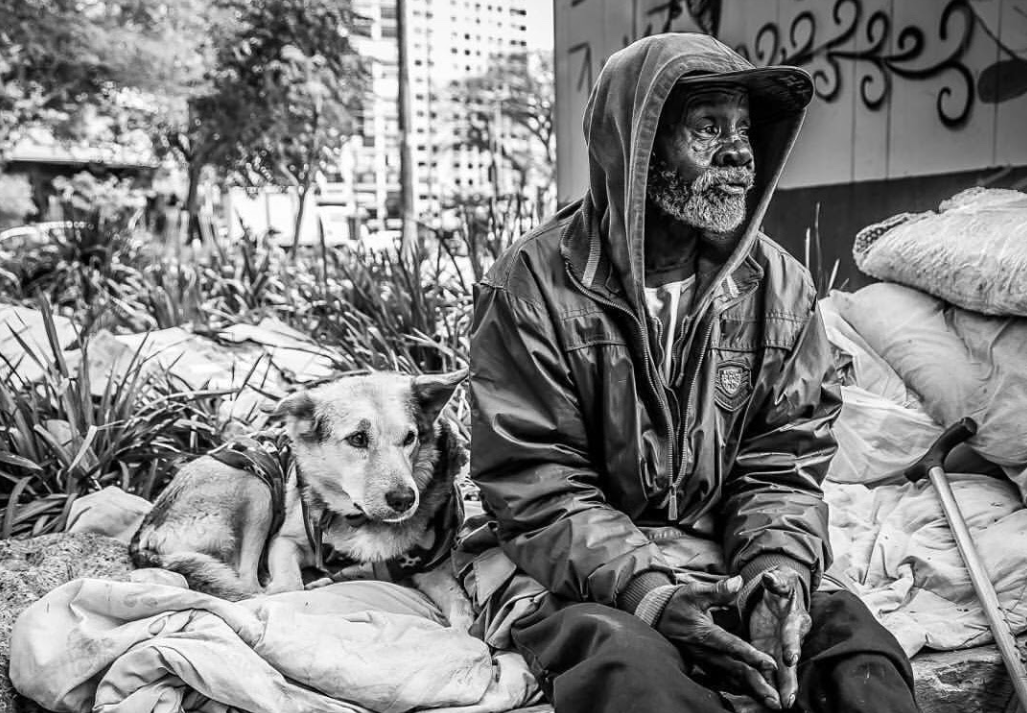 Ong realiza ação de natal para pets e moradores de rua do Brasil