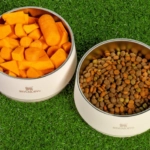 Stanley 1913 estreia no segmento pet com lançamento do Pet Bowl no Brasil