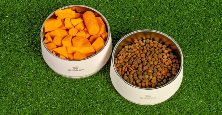 Stanley 1913 estreia no segmento pet com lançamento do Pet Bowl no Brasil