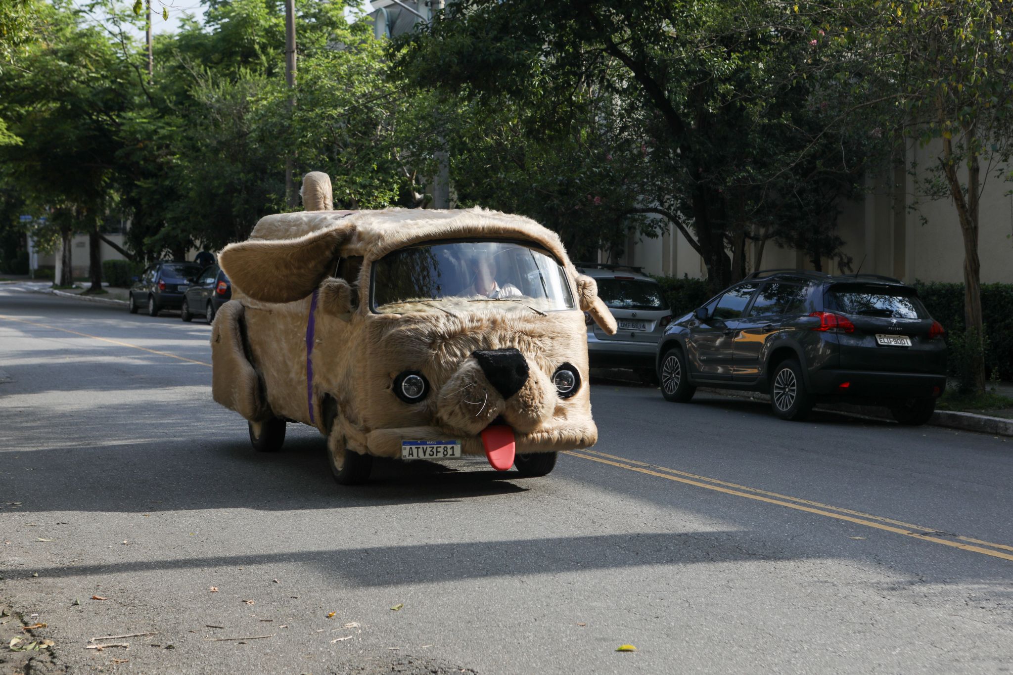 Campanha com Petcar para blackfriday chama atenção nas ruas