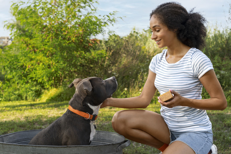 Estudo revela que ter um pet pode melhorar a saúde cardiovascular