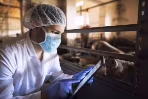 Mercado de segurança de alimentos pet deve superar R$90 bilhões até 2033