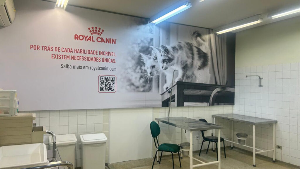 Parceria entre Royal Canin e Hospital Veterinário da USP progride com melhorias para gatos