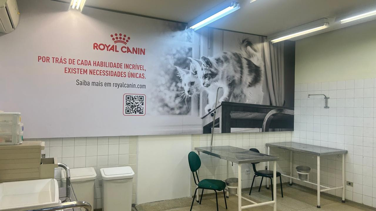 Parceria entre Royal Canin e Hospital Veterinário da USP progride com melhorias para gatos