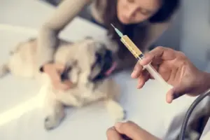exercício ilegal