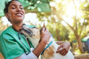 Dia Nacional dos Animais: data reforça importância do bem-estar e da proteção animal