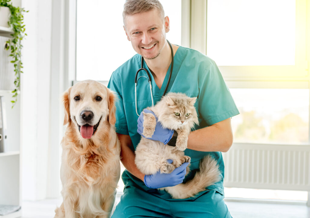 Vet with dog and cat in clinic