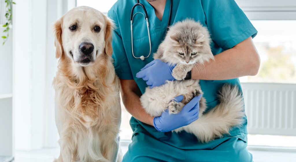 Vet with dog and cat in clinic