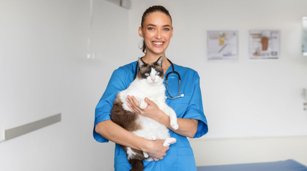 Médicos-veterinários do Reino Unido estão entre os mais bem pagos da Europa