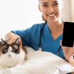 Da clínica ao feed: como as redes sociais fortalecem a atuação do médico-veterinário