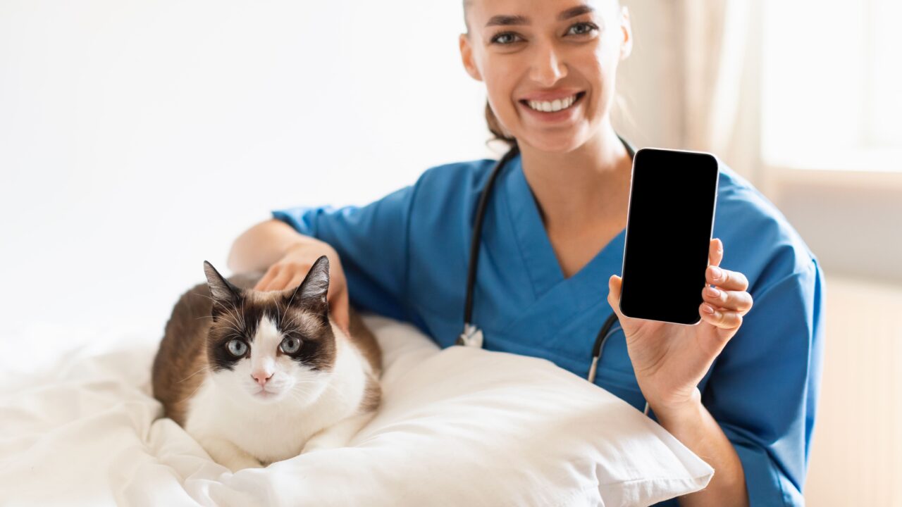 Da clínica ao feed: como as redes sociais fortalecem a atuação do médico-veterinário