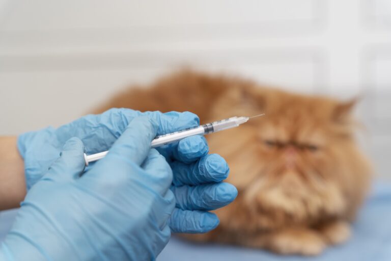 Boehringer Ingelheim amplia linha Purevax® e reforça portfólio vacinal felino no Brasil