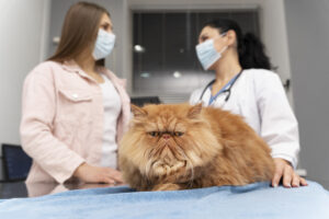 felinos