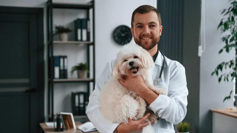 Dia do Médico-Veterinário: Royal Canin presta homenagem a quem se dedica à saúde e ao bem-estar dos animais