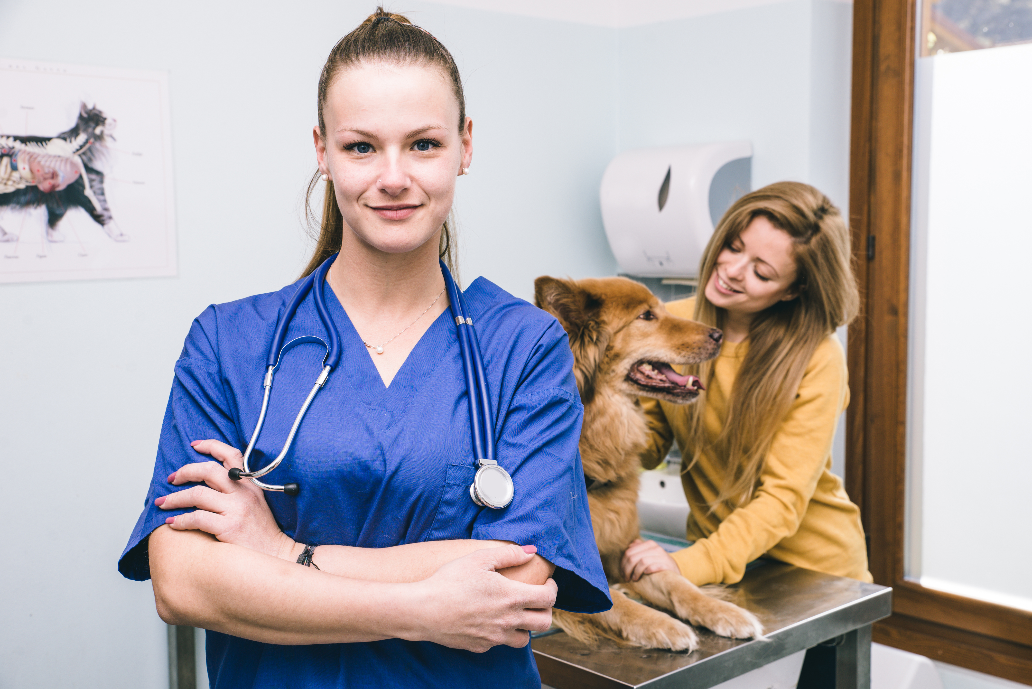 Veterinary doctor portrait